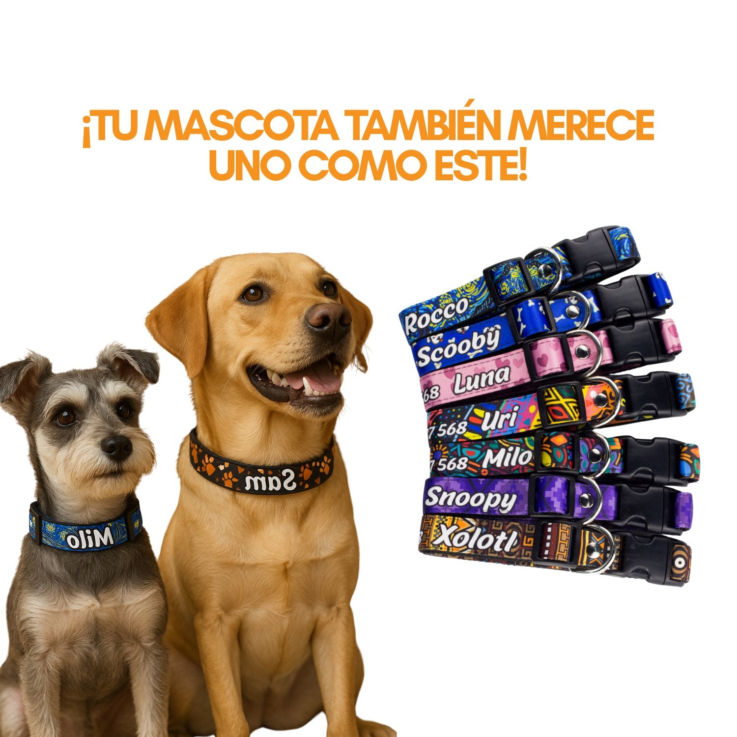 Collares de identificación