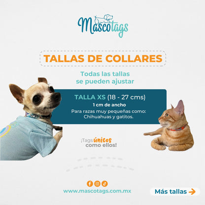 Collar personalizado para Mascota: Lava