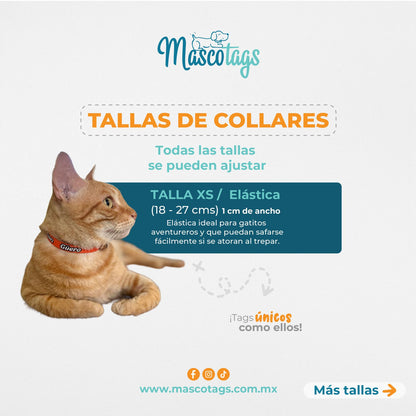 Collar personalizado para Mascota: Lava