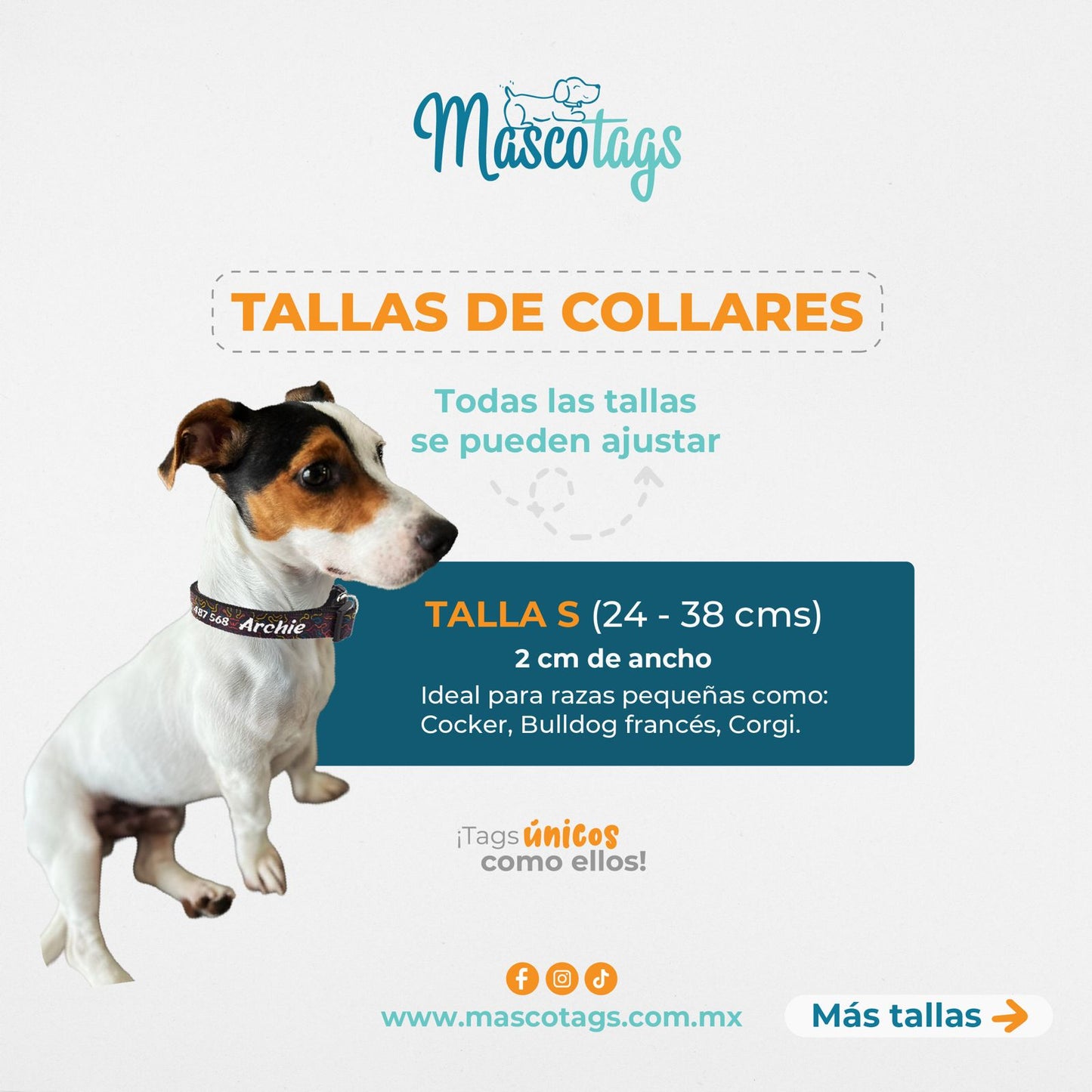 Collar personalizado para Mascota: Alebrije