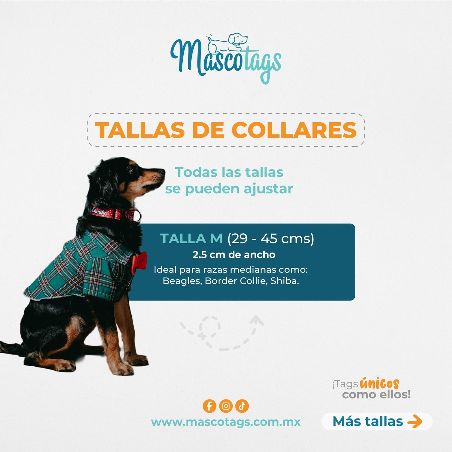 Collar personalizado para Mascota: Lava