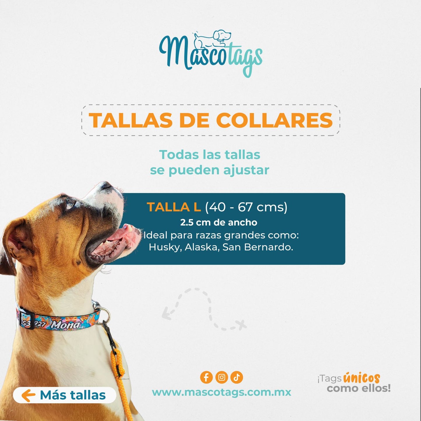 Collar personalizado para Mascota: Lava