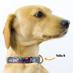 Collar personalizado: Alebrije