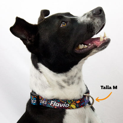 Collar personalizado para Mascota: Alebrije