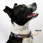 Collar personalizado: Alebrije