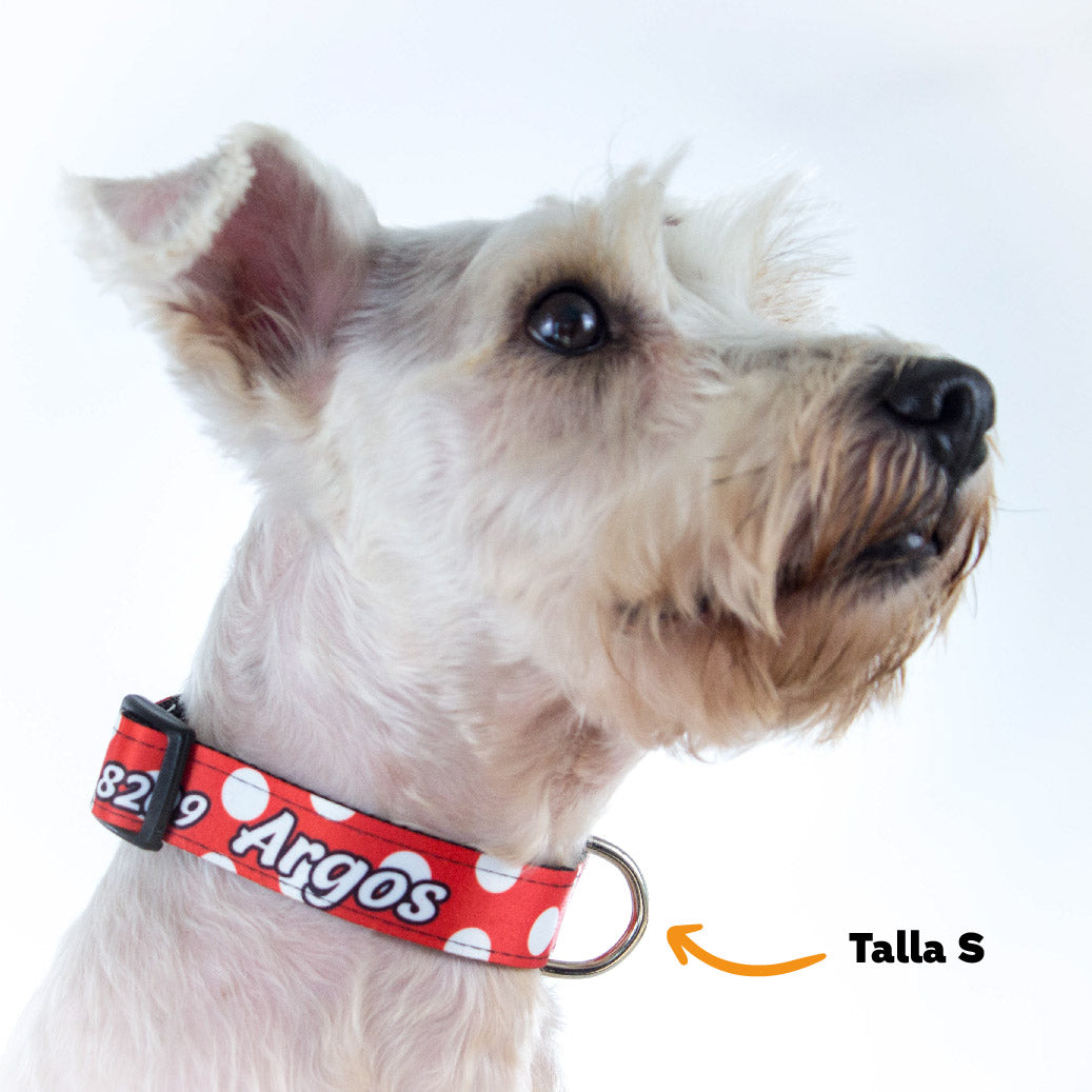 Collar personalizado para Mascota: Círculos Blancos