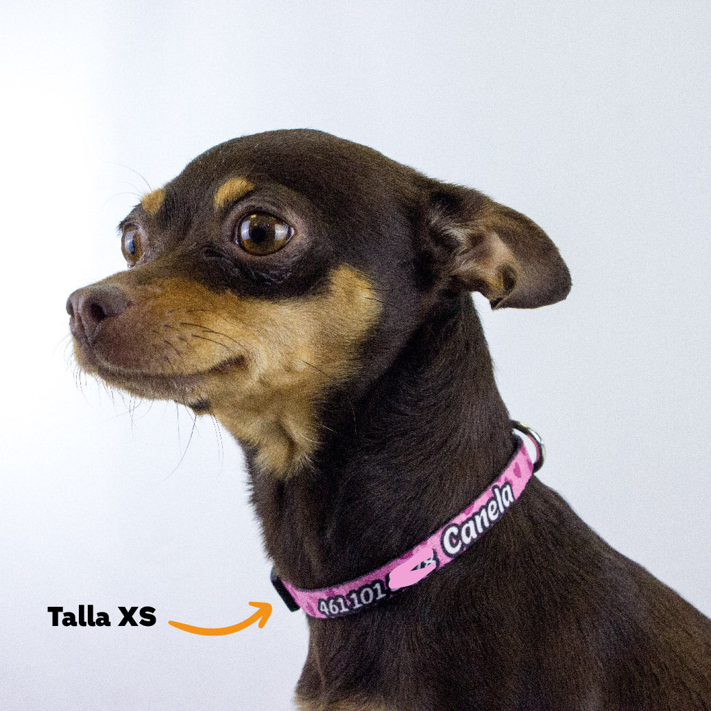 Collar personalizado para Mascota: Corazones