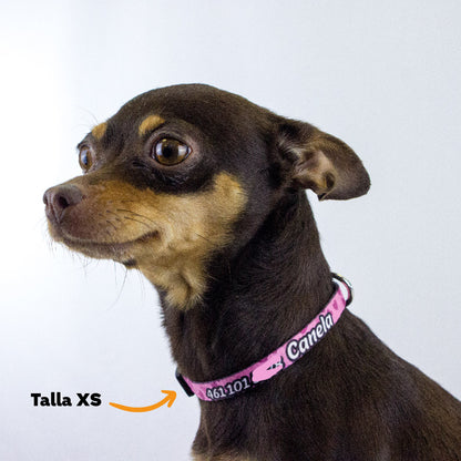 Collar personalizado para Mascota: Corazones
