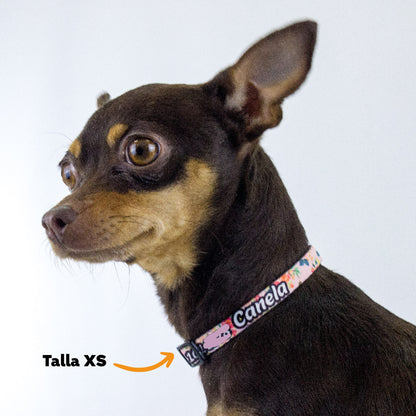 Collar personalizado para Mascota: Rosas