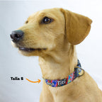 Collar personalizado: Grecas