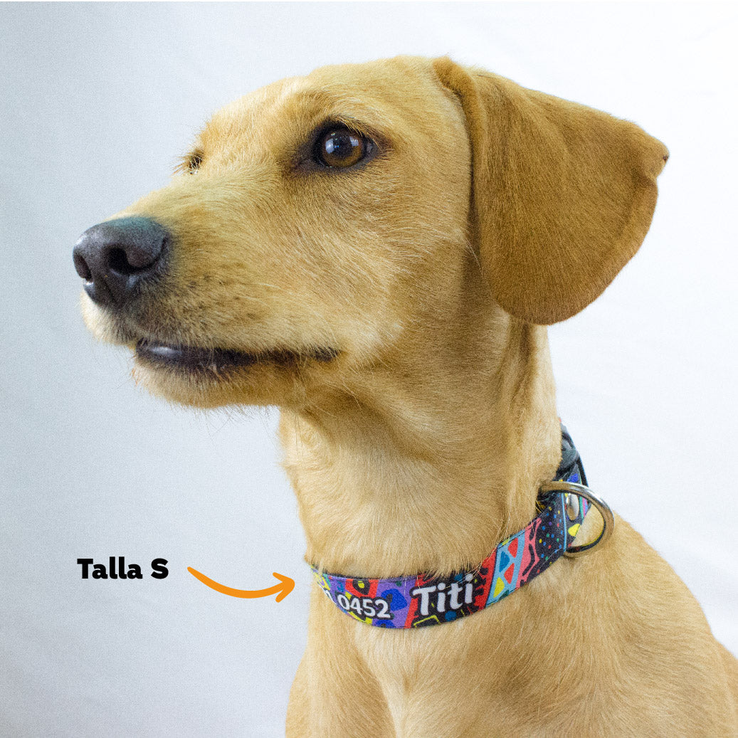 Collar personalizado para Mascota: Grecas