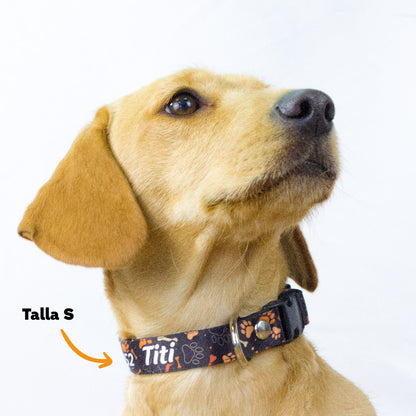 Collar personalizado para Mascota: Huellitas
