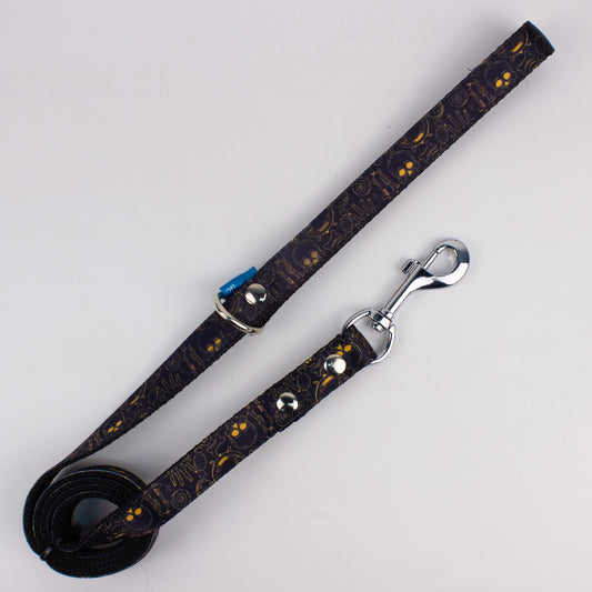 Correa de paseo: Nocturno