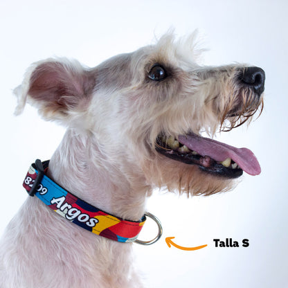 Collar personalizado para Mascota: Lava