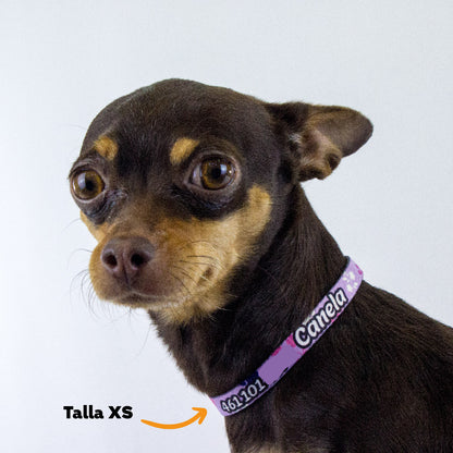 Collar personalizado para Mascota: Lila