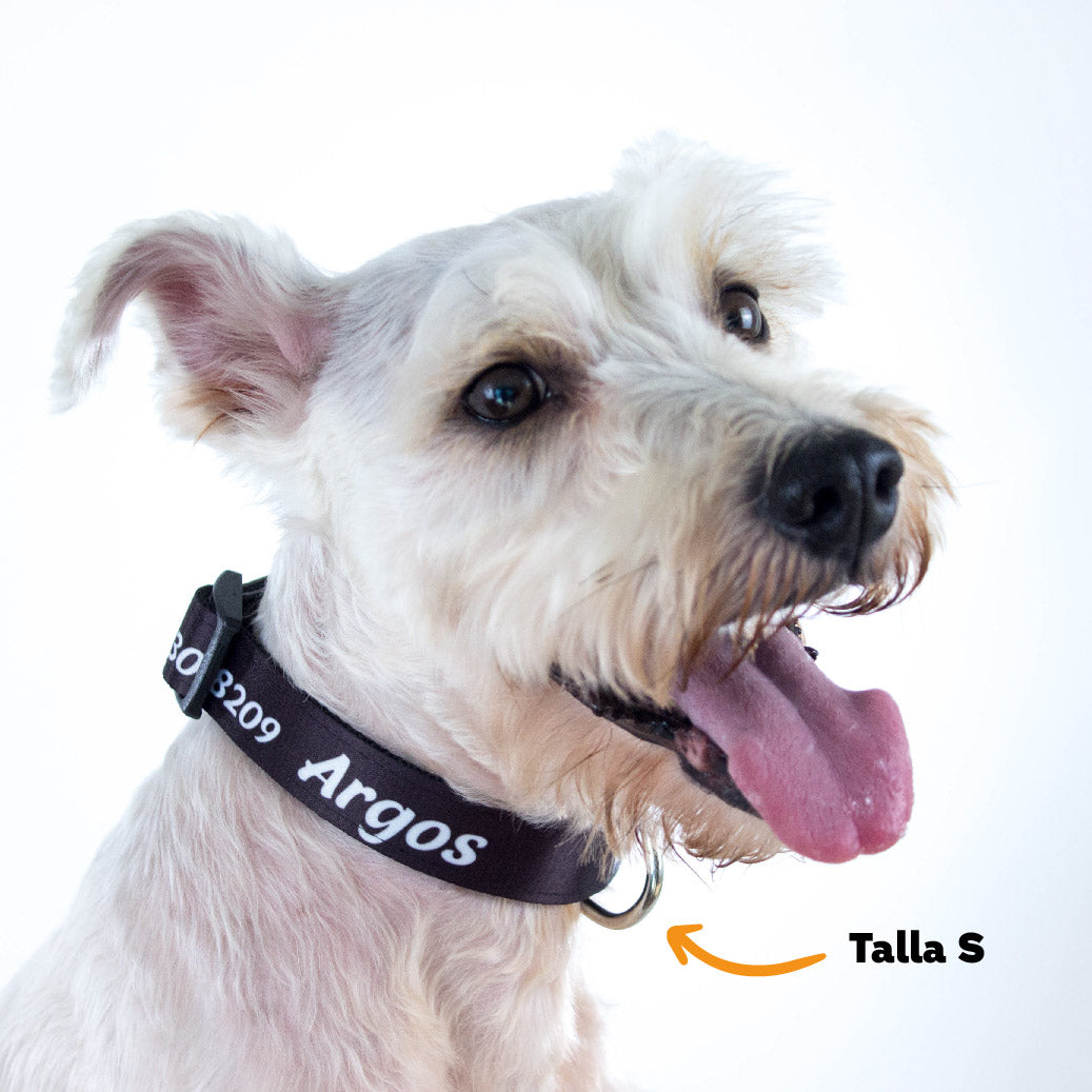 Collar personalizado para Mascota: Liso
