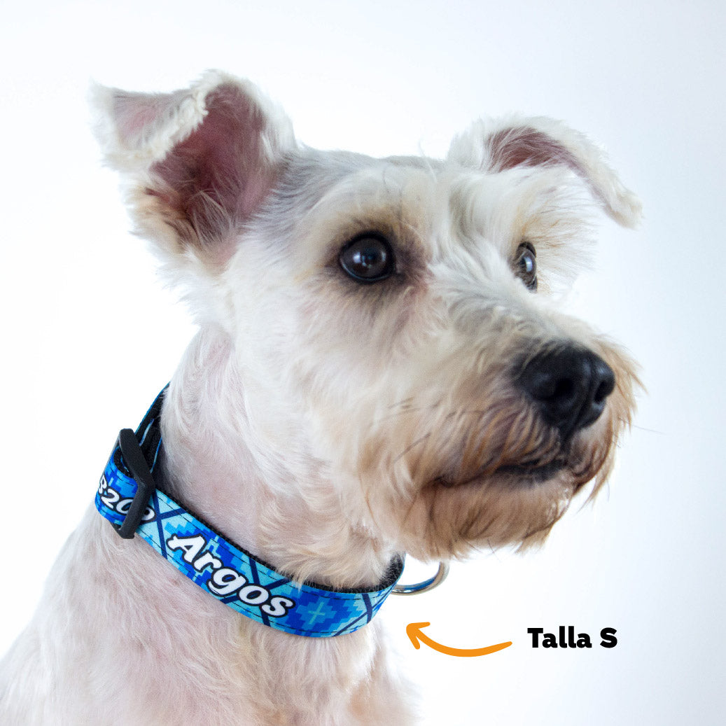 Collar personalizado para Mascota: Mandala