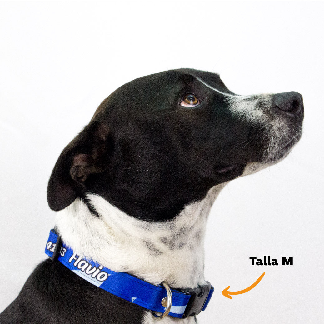 Collar personalizado para Mascota: Militar