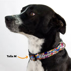Collar personalizado: Mosaicos