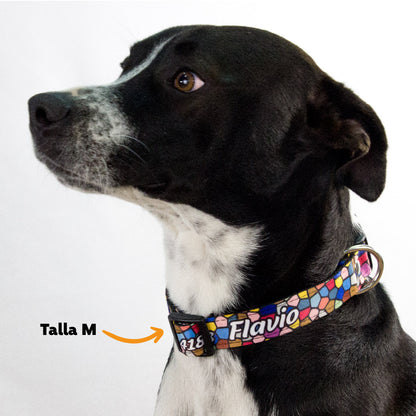 Collar personalizado para Mascota: Mosaicos