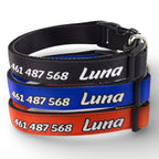 Collar personalizado: Liso