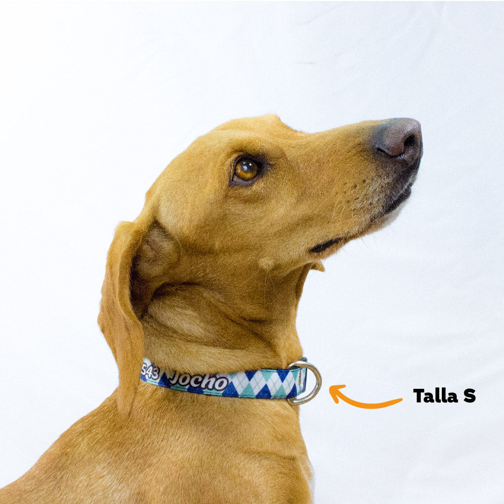 Collar personalizado para Mascota: Rombos