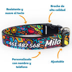 Collar personalizado: Alebrije