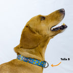 Collar personalizado: Smiley