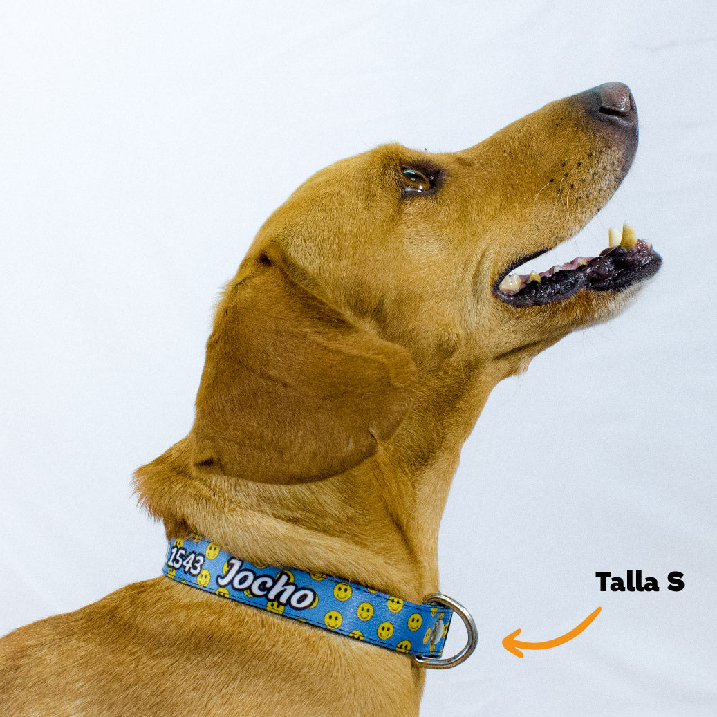 Collar personalizado para Mascota: Smiley