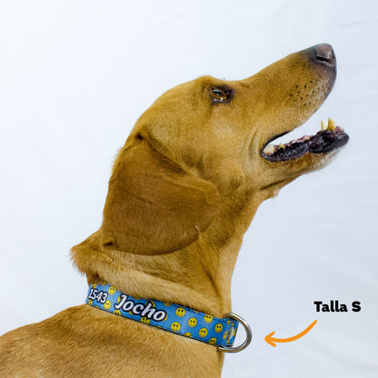 Collar personalizado para Mascota: Smiley