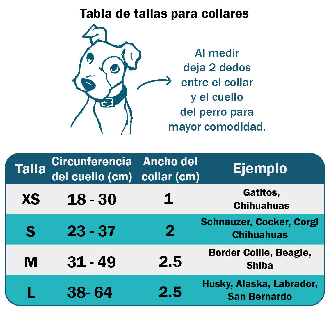 Collar personalizado para Mascota: Corazones