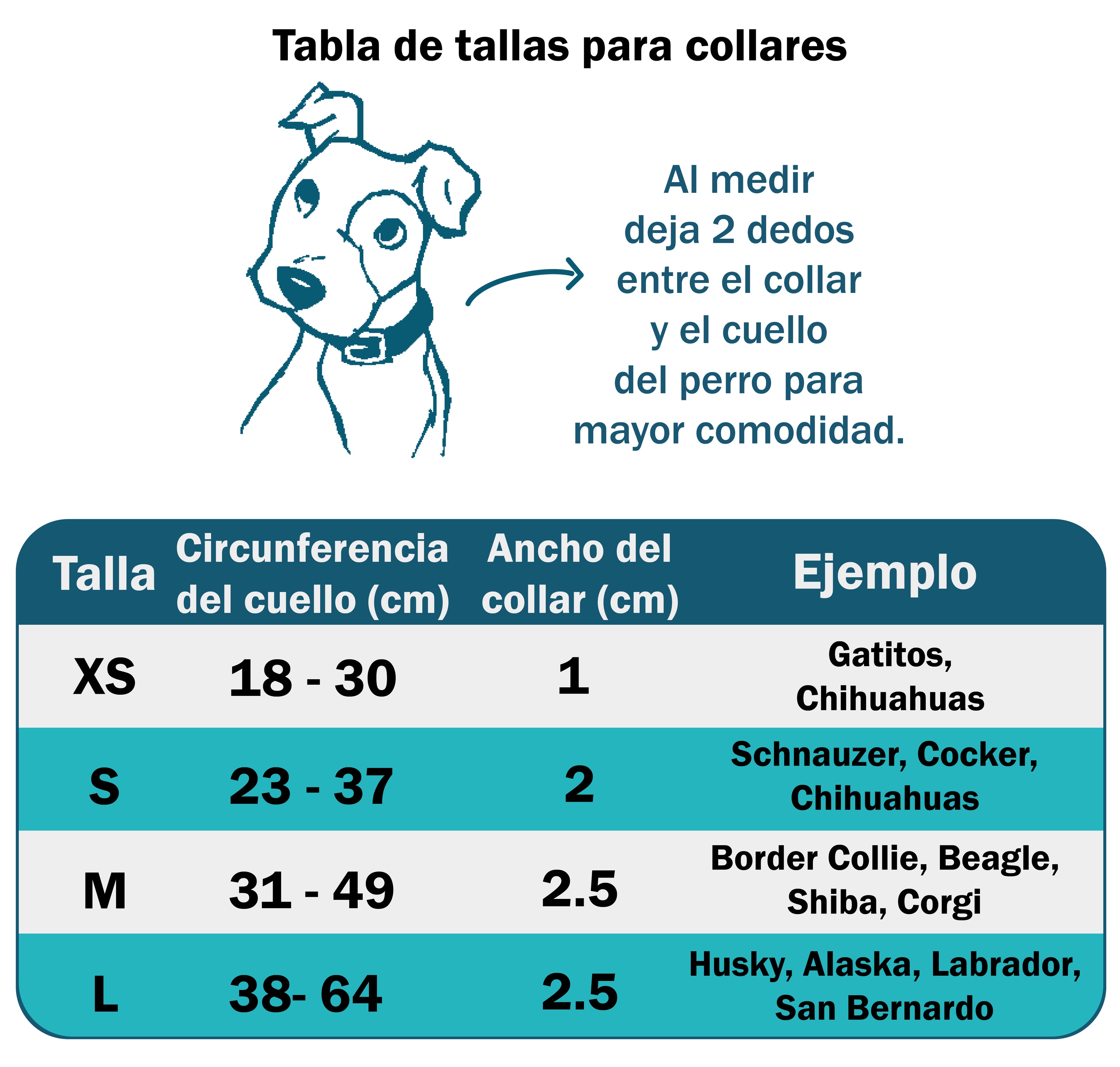 Collar personalizado: Love Grid