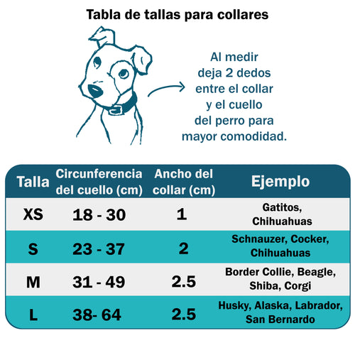 Collar personalizado: Alebrije