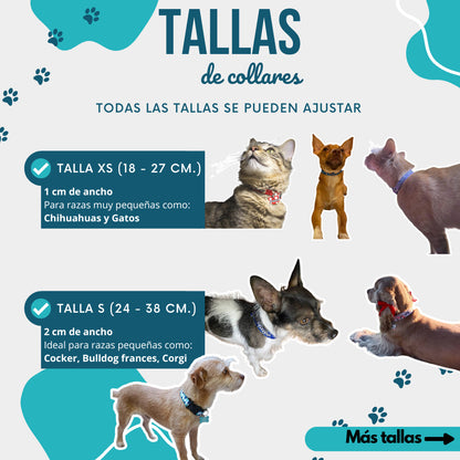 Collar personalizado para Mascota: Serpentina