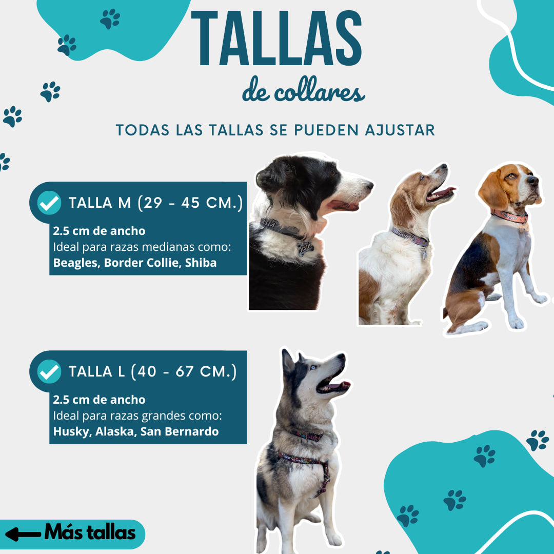 Collar personalizado para Mascota: Serpentina