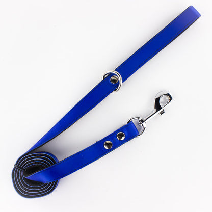 Correa de paseo: Liso