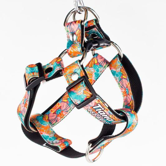 Pechera: Lienzo