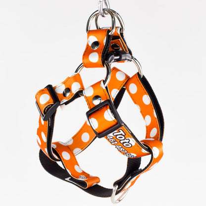 Pechera: Círculos Blancos