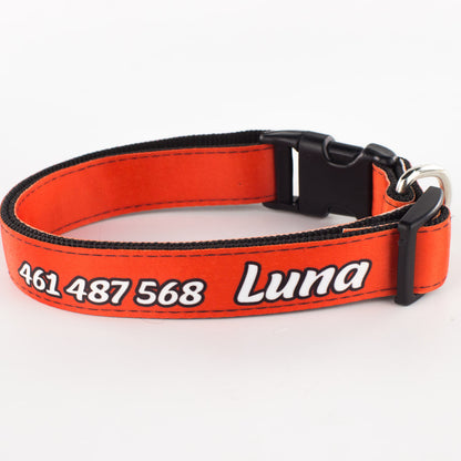 Collar personalizado para Mascota: Liso