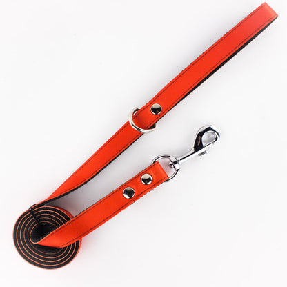 Correa de paseo: Liso