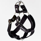 Pechera: Liso