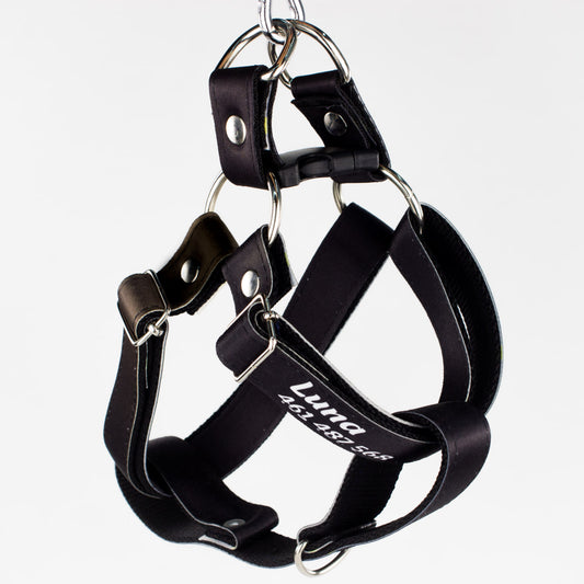 Pechera: Liso
