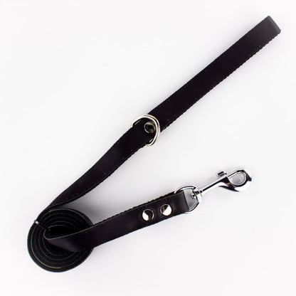 Correa de paseo: Liso